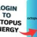 Octopus Energy Login