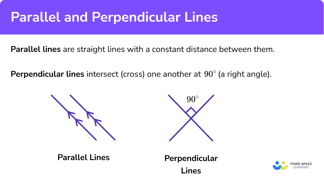 Perpendicular Lines